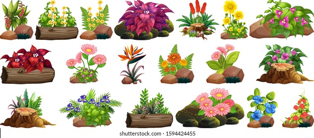 Large set of colorful flowers on rocks and wood illustration