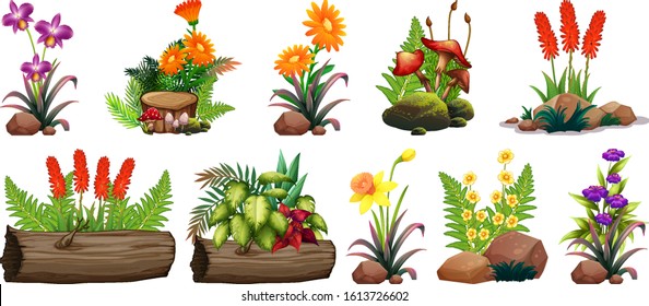 Large set of colorful flowers on rocks and wood illustration