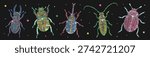 Large set of colorful hand-drawn beetles: Stag, Scarab, Rhinoceros, Longhorn, and Leaf beetle. Perfect for poster, wall art, textile and modern print design.