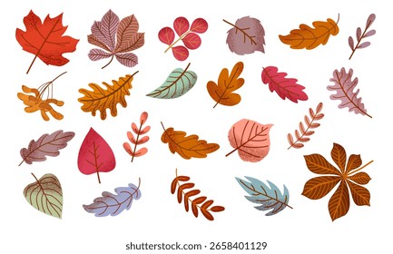 Grande conjunto de folhas de outono texturizadas coloridas. Queda de folhagem. Folhas de castanheiro, carvalho, tília, rowan, freixo, álamo, sementes de ácer. Ilustração vetorial