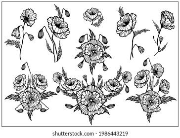 gran conjunto de composiciones de flor de amapola, brotes y hojas, gráficos estilizados, lineales, negros y blancos, elementos botánicos decorativos, vector