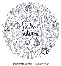 A large set of cozy fall elements. Pumpkins, slices, leaves and seeds. Lettering "Hello autumn". Isolated vector objects on a white background. Hand drawn plants in Doodle style. 