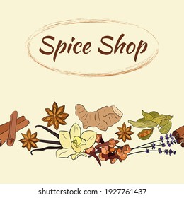 A large set of culinary spices and herbs. Popular culinary plants, natural health care. Vintage Medicinal Herbs and plants. Vanilla and cinnamon, cloves and star anise, ginger.