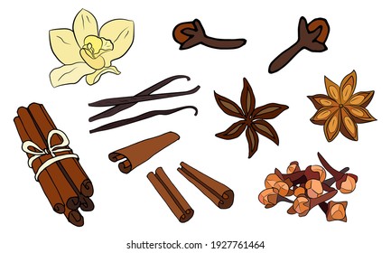 A large set of culinary spices and herbs. Popular culinary plants, natural health care. Vintage Medicinal Herbs and plants. Vanilla and cinnamon, cloves and star anise.