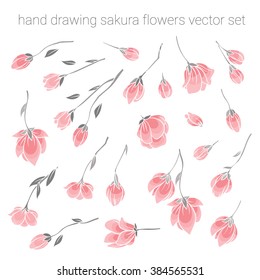 large set of delicate pink sakura cherry blossoms - flowers for design