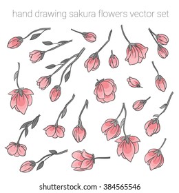 large set of delicate pink sakura cherry blossoms - flowers for design