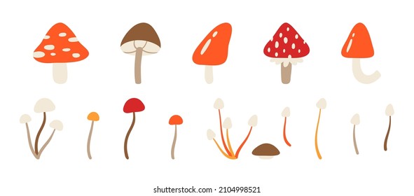 Large set of different abstract mushrooms. Botanical clipart with isolated mushrooms on a white background. Colorful flat vector illustration