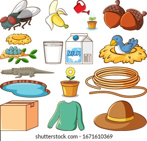 Large set of different animals and other objects on white background illustration