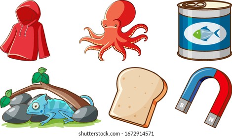 Large set of different animals and other objects on white background illustration