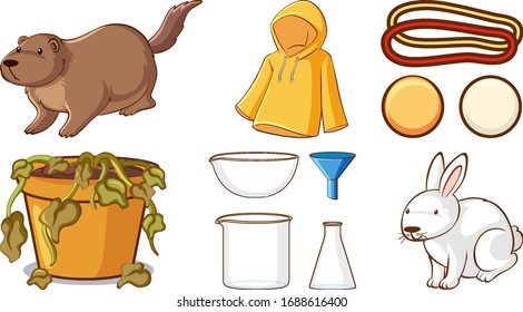 Large set of different animals and other objects on white background illustration