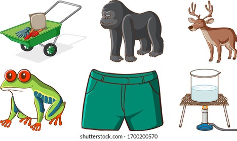 Large set of different animals and other objects on white background illustration