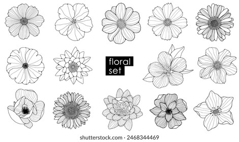 Large set of different flowers. Chamomile, calendula, lotus, cherry flower, sunflower, camellia isolated on white background. Outline of flowers.