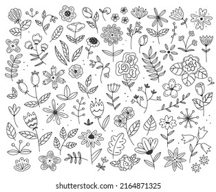 A large set of different flowers and plants in a simple linear doodle style. Vector isolated floral illustration.