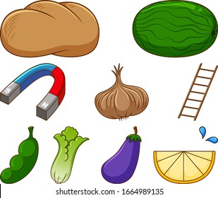 Large set of different food and other items on white background illustration