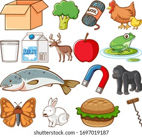 Large set of different food and other items on white background illustration