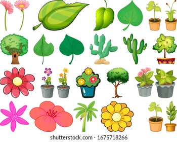 Large set of different plants on white background illustration