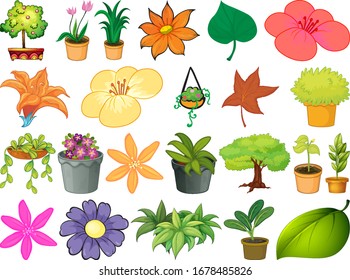 Large set of different plants on white background illustration