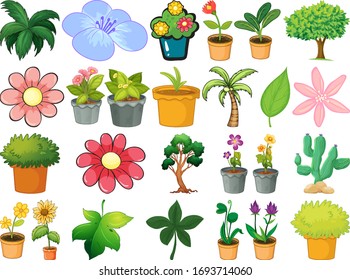 Large set of different plants on white background illustration