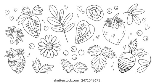 Large set of different strawberries and blueberries with leaves. One line vector drawing. Isolated elements flat style on white background. Nature design kit
