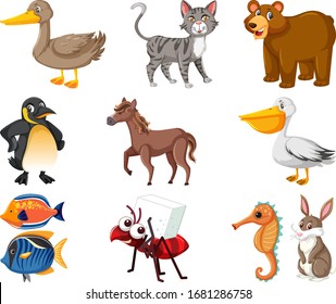 Large set of different types of animals on white background illustration