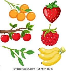 Large set of different types of fruits on white background illustration