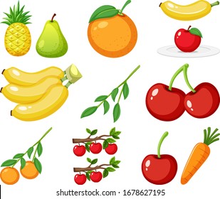 Large set of different types of fruits on white background illustration