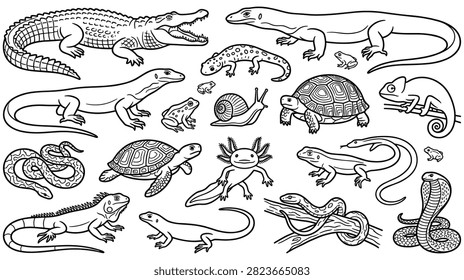 Large set of diverse wild reptiles and amphibians including snakes and lizards. Detailed line art collection of exotic creatures for nature study project.