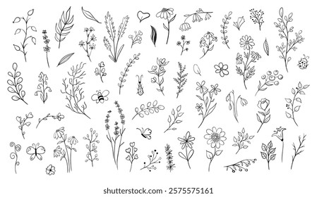 large Set of doodle plants and insects. Hand drawn illustration in monochrome black and white colors. Floral vector collection with flowers and branches on isolated background Outline floral element