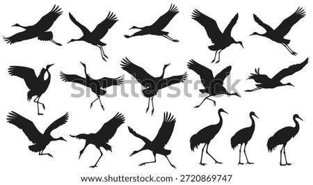 A large set of dynamic black crane silhouettes showing the birds in various flying landing and dancing poses.