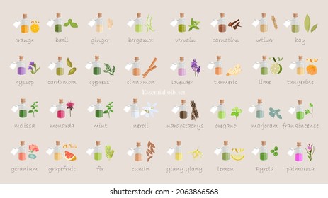 A large set of essential oil icons. Plants for aromatherapy. Oil icons for stores and magazines. The best herbs for aromatherapy. Set of medicinal plants. Vector collection for perfumes and cosmetic.
