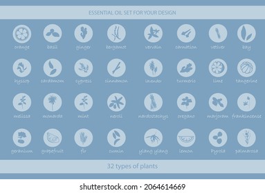 A large set of essential oil icons. Plants for aromatherapy. Oil icons for stores and magazines. The best herbs for aromatherapy. Set of medicinal plants. Vector collection for perfumes and cosmetic.
