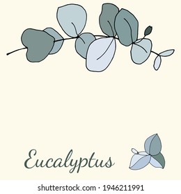 Large set of eucalyptus leaves and branches. Collection of eucalyptus branches. Vector illustration of greenery. Eucalyptus with seeds.