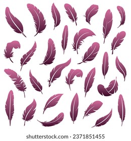 A large set of feathers of various shapes