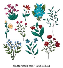 Large set of floral backgrounds decorated with gorgeous multicolored bright juicy color palette blooming flowers plants Spring summer botanical vector illustration isolated on white background