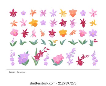 A large set of flowers, buds, leaves and twigs of different varieties of orchids. Light, elegant flowers for your compositions and designs. Flat vector illustration.