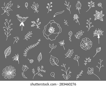 A large set of flowers and plants