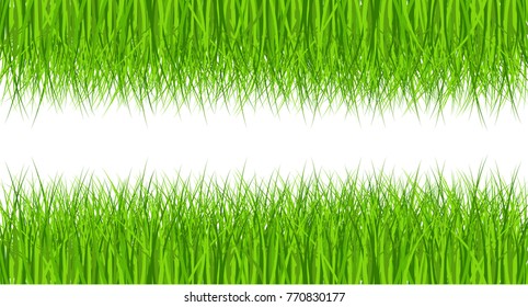 Large set of fresh green spring grass borders in  lengths and densities for use as design elements isolated on white background