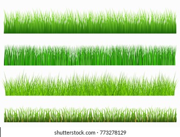 Large set of fresh green spring grass borders in lengths and densities for use as design elements isolated on white background. Vector illustrations