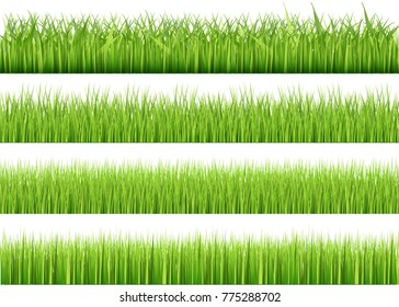 Large set of fresh green spring grass borders in lengths and densities for use as design elements isolated on white background. Vector illustrations