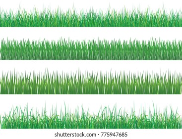 Large set of fresh green spring grass borders in lengths and densities for use as design elements isolated on white background. Vector illustrations