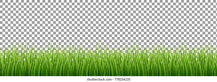 Large set of fresh green spring grass borders in lengths and densities for use as design elements isolated on Transparent background. Vector illustrations