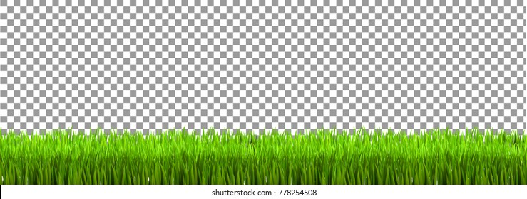 Large set of fresh green spring grass borders in lengths and densities for use as design elements isolated on Transparent background. Vector illustrations