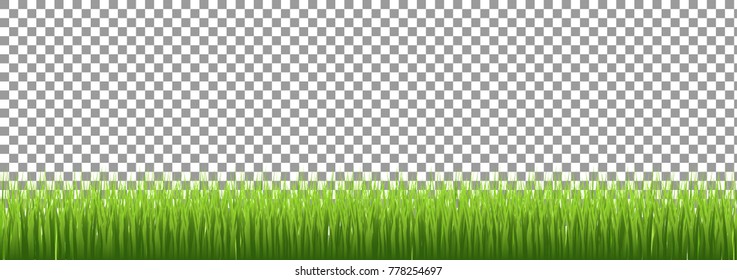 Large set of fresh green spring grass borders in lengths and densities for use as design elements isolated on Transparent background. Vector illustrations