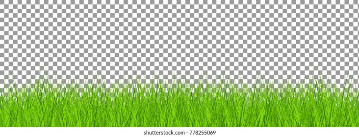 Large set of fresh green spring grass borders in lengths and densities for use as design elements isolated on Transparent background. Vector illustrations