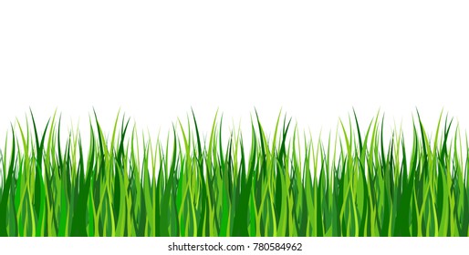 Large set of fresh green spring grass borders in lengths and densities for use as design elements isolated on white background. Vector illustrations