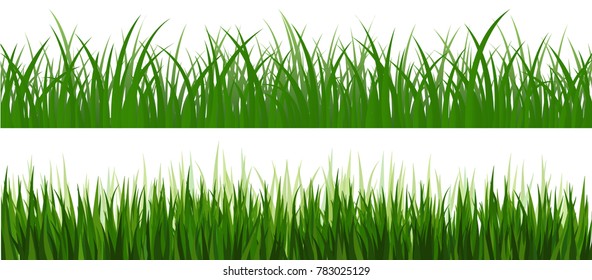 Large set of fresh green spring grass borders in lengths and densities for use as design elements isolated on white background. Vector illustrations