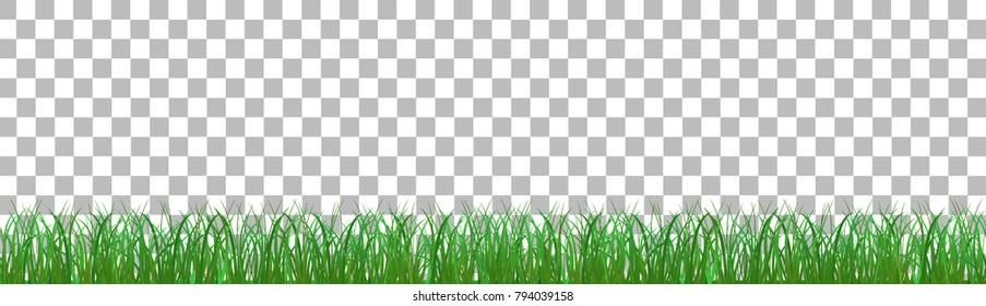Large set of fresh green spring grass borders in lengths and densities for use as design elements isolated on Transparent background. Vector illustrations