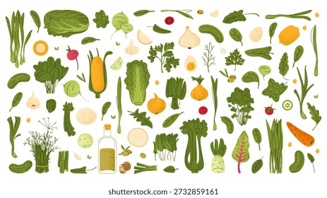 Grande conjunto de vegetais verdes frescos, ervas e ingredientes em estilo de ilustração plana. Adequado para cozinhar, receitas, design de alimentos, embalagens, menus, nutrição e projetos de estilo de vida saudável.