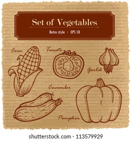 A large set of fresh vegetables. Easily editable vector. Various vegetables on the grange retro background. Isolated vector.  For menu. Hand drawing, retro. Healthy food. Label.