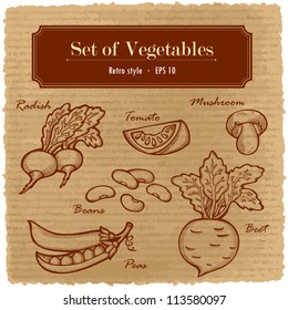 A large set of fresh vegetables. Easily editable vector. Various vegetables on the grange retro background. Isolated vector.  For menu. Hand drawing, retro. Healthy food. Label.